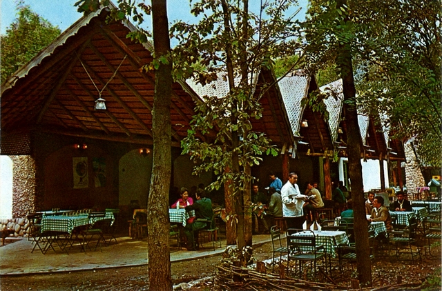 1404 - Braila. Cabana Stejarilor